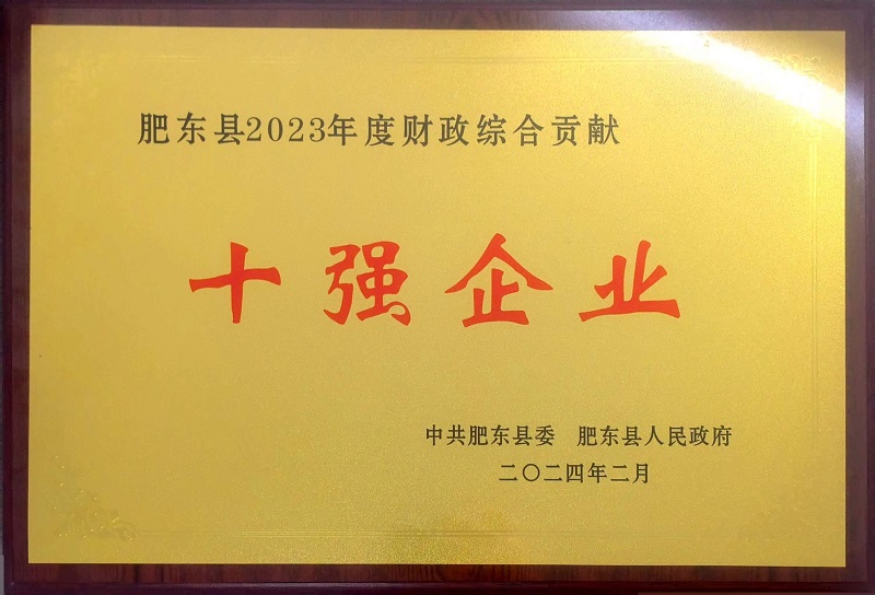 肥東縣2023年度財政綜合貢獻十強企業