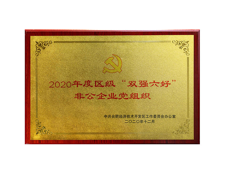 2020年度區級“雙強六好非公企業黨組織“